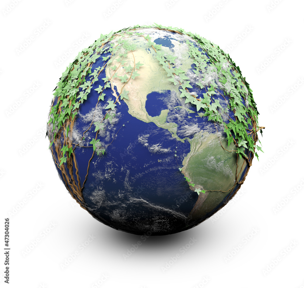 Earth Ivy Earth Ivy