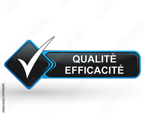 qualité efficacité sur bouton web carré design bleu