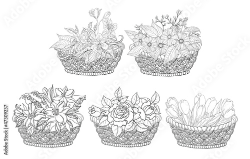 Fototapeta Naklejka Na Ścianę i Meble -  Baskets with flowers set, outline