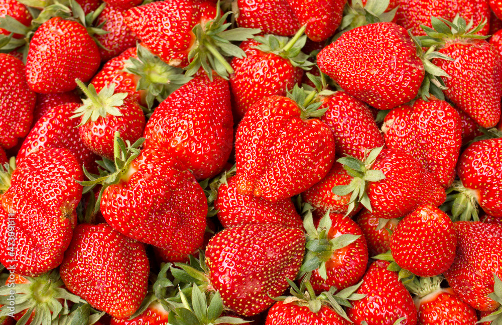 Fresh organic strawberries Fresh organic strawberries