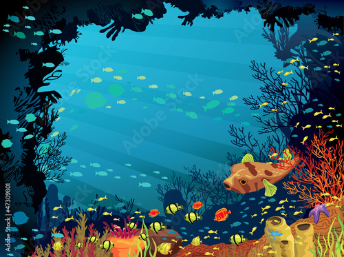 Colored coral reef