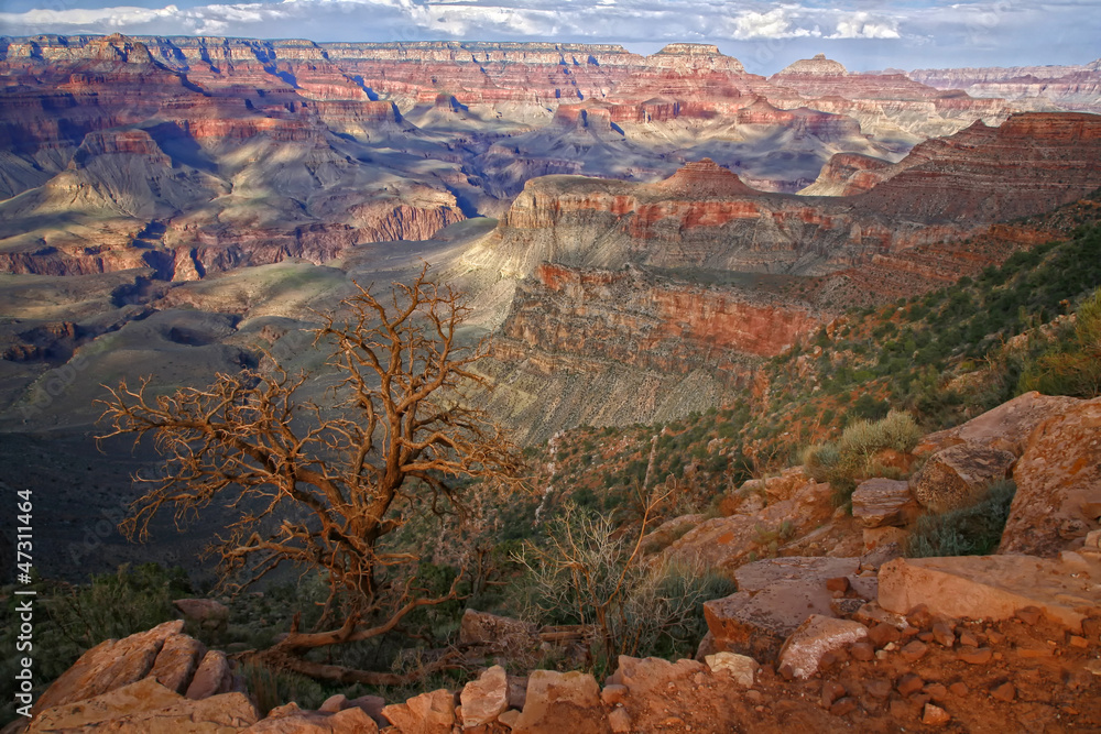 Grand Canyon National Park (South Rim), Arizona USA - Landscape