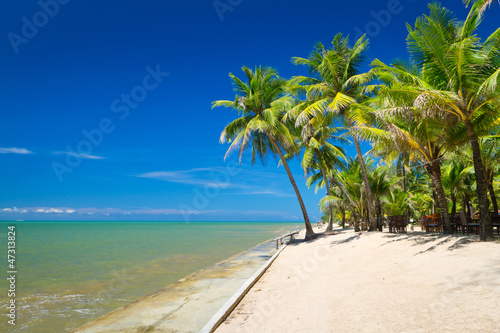Beautiful tropical beach with coconut palm tree in Thailand