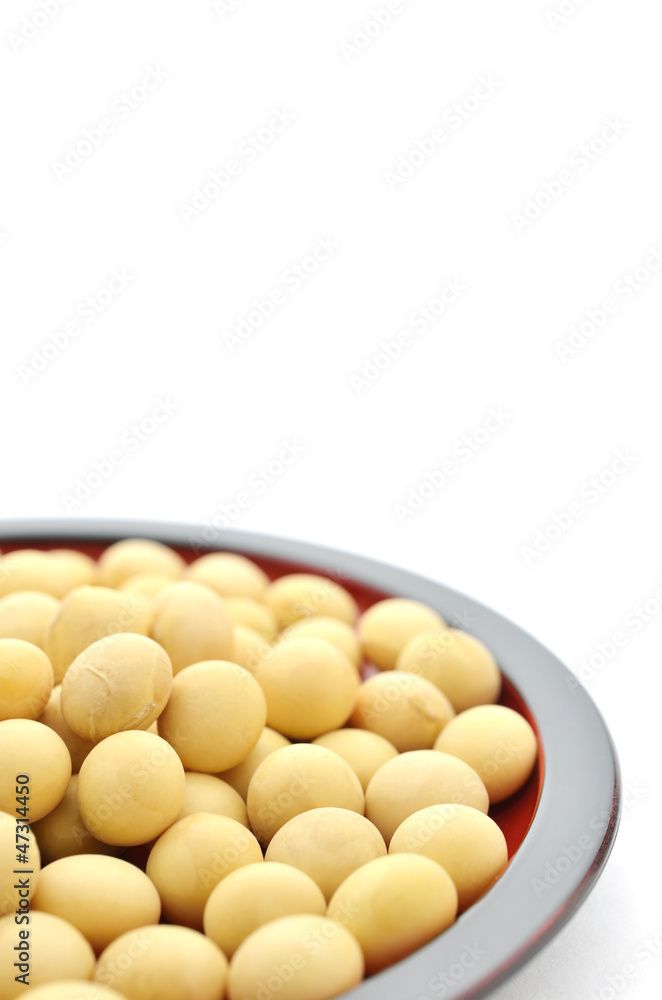 大豆 和食器 白バック 大豆 和食器 白バック