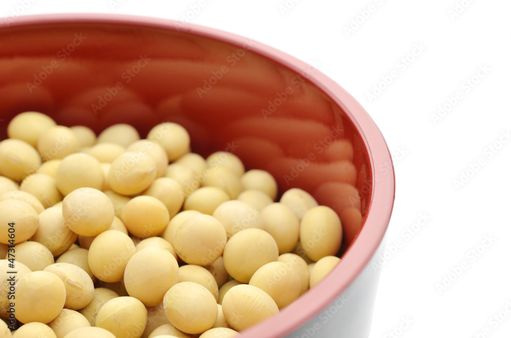 大豆　和食器　白バック