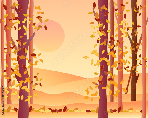 autumn forest
