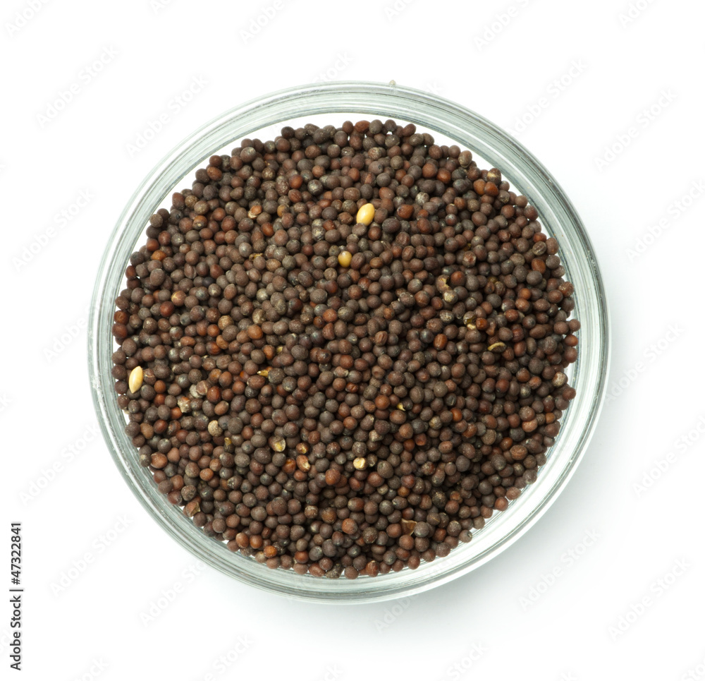 Black mustard in a bowl Black mustard in a bowl