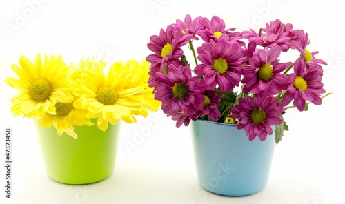 Wallpaper Mural Margaritas Torontodigital.ca