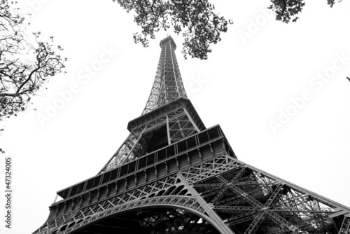 Fototapeta Naklejka Na Ścianę i Meble -  Paris Eiffel Tower