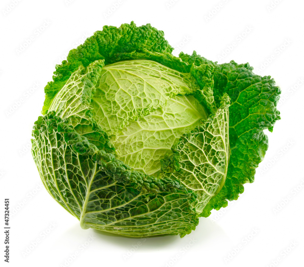 Fototapeta premium Ripe Savoy cabbage isolated on white