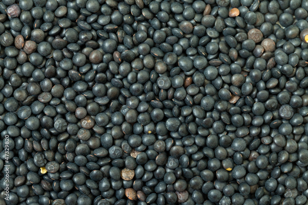 Backdrop of Black Lentil Backdrop of Black Lentil