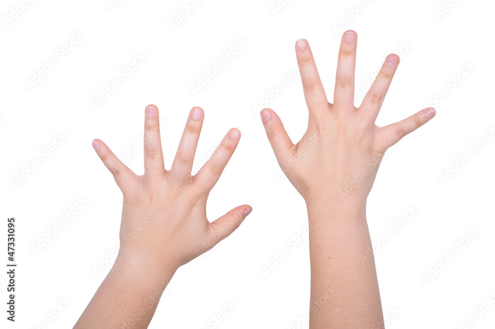 Woman hand . Isolated on white background Woman hand . Isolated on white background