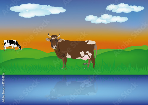 Dairy cows over summer green meadow at river.The rural landscape