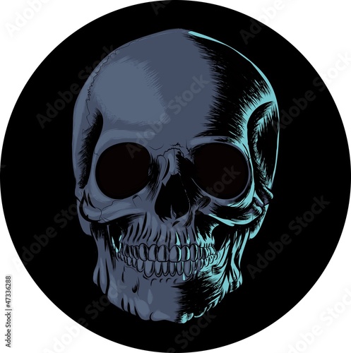 skull