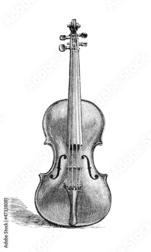 Violin