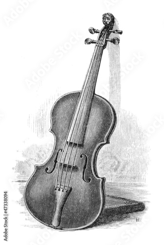 Violin