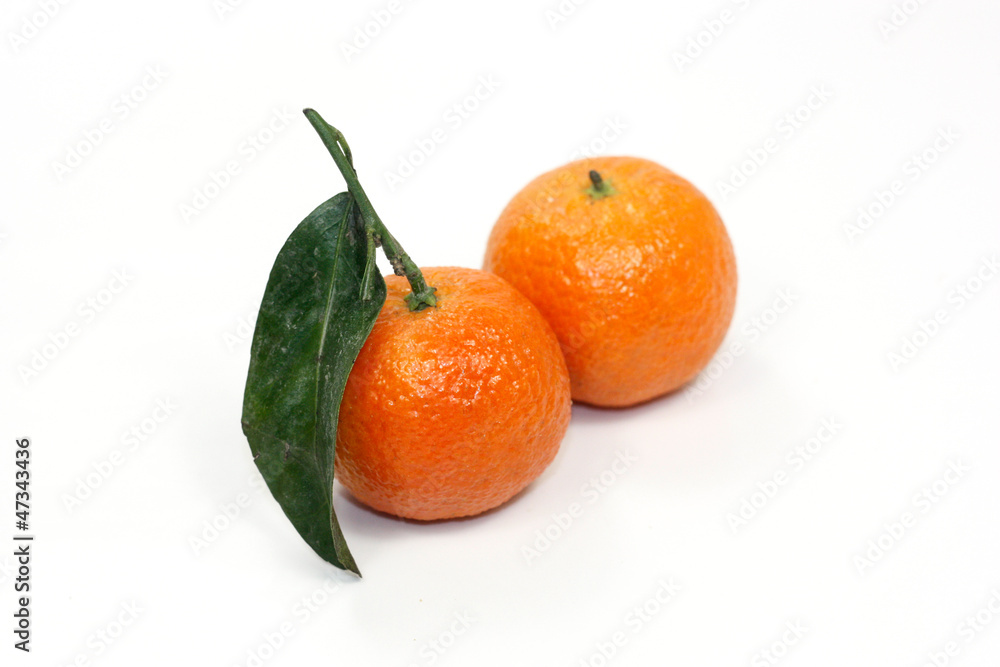 clémentines clémentines