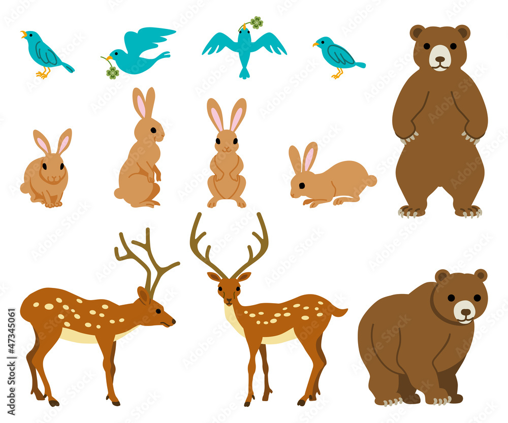 Animal set Animal set