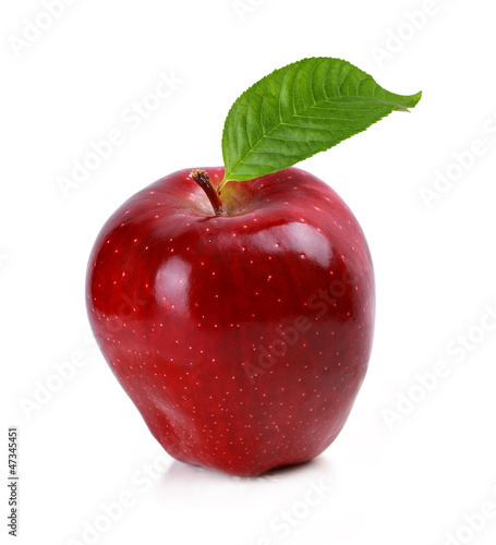 красное яблоко photo