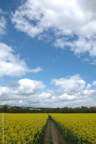 Big Sky