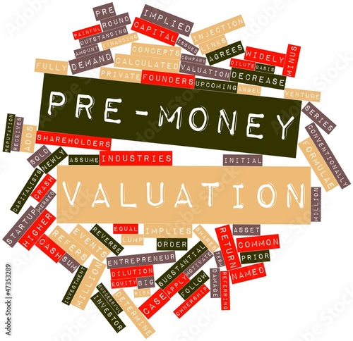 Word cloud for Pre-money valuation photo