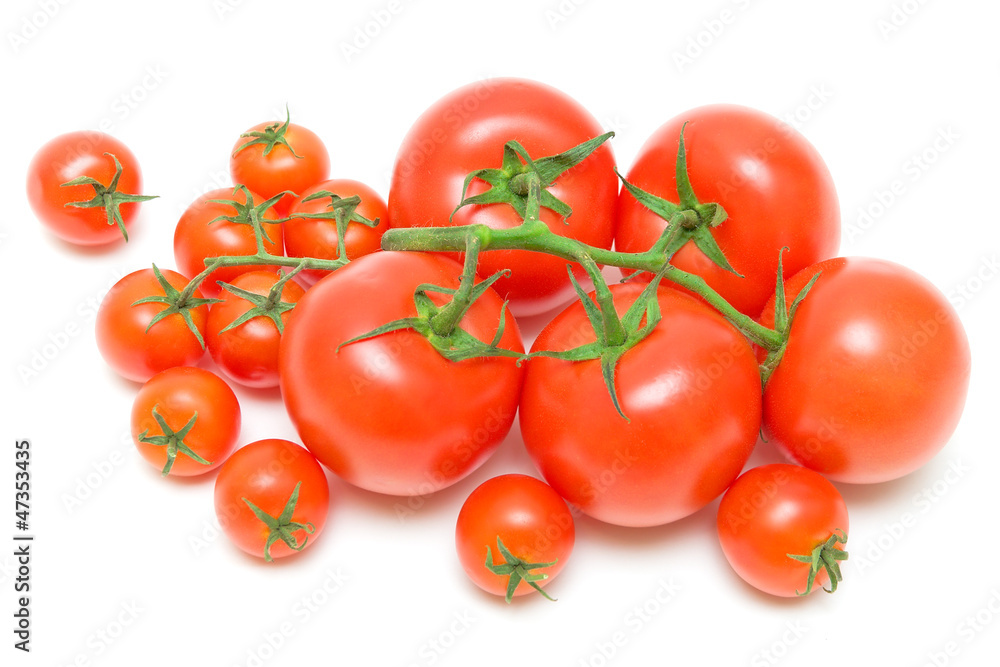 tomatoes of different sizes on a white background tomatoes of different sizes on a white background