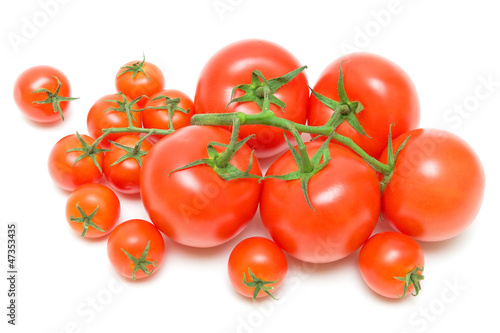 tomatoes of different sizes on a white background