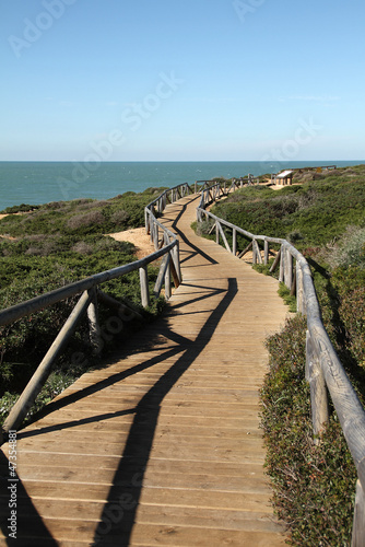 Sendero hacia las Calas de Roche, Conil, Cádiz