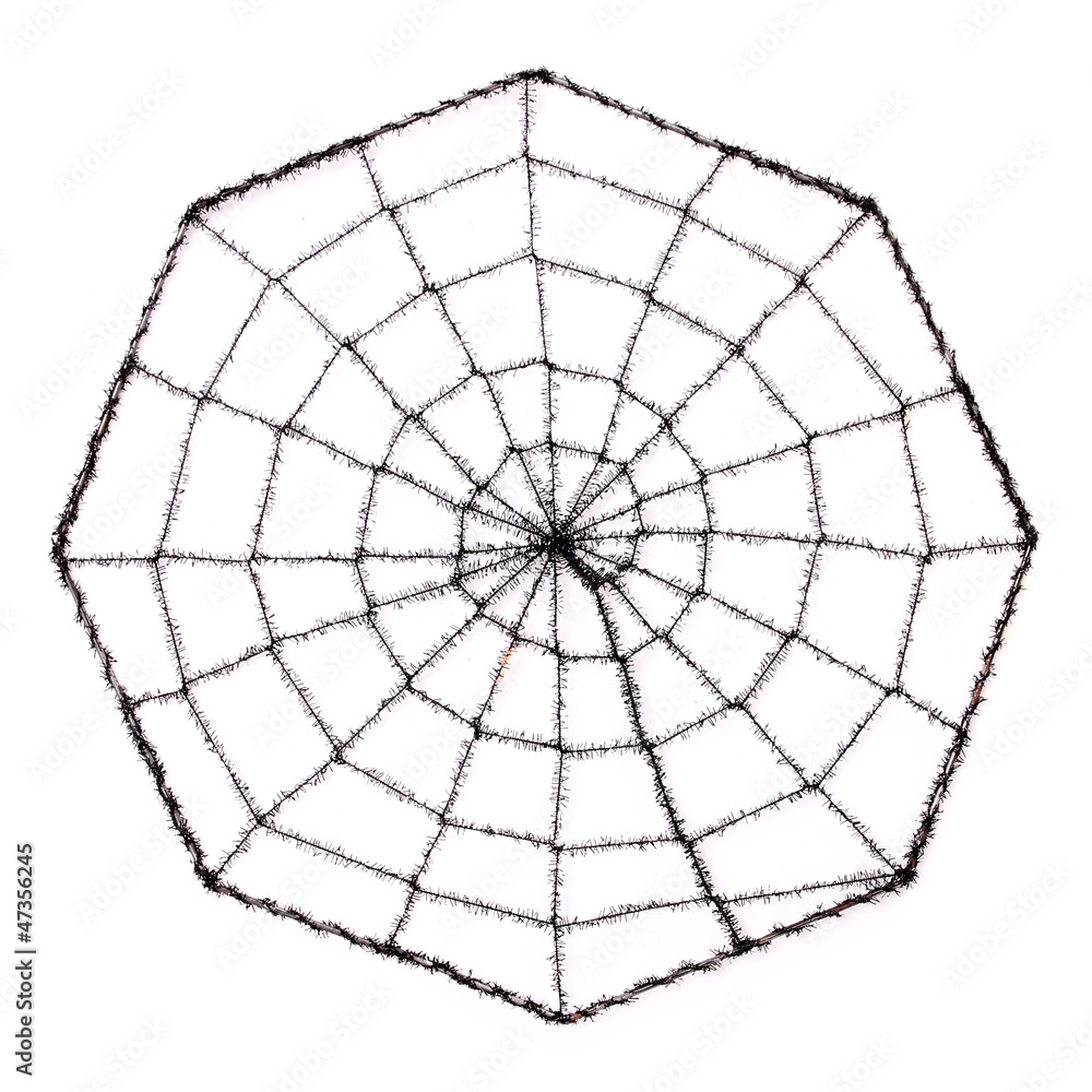 Obraz premium Spider Web isolated on white