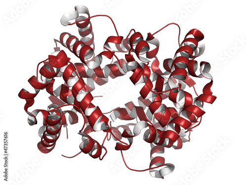 Hemoglobin protein (Hb), chemical structure photo