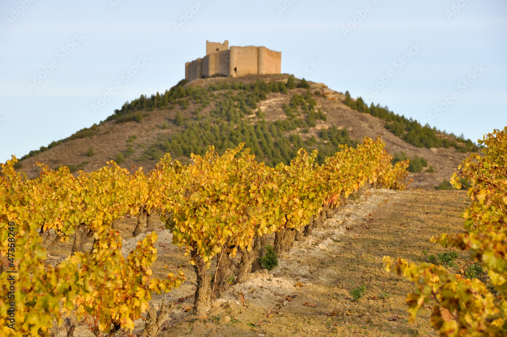 Viñedos y castillo de Davalillo, La Rioja (España)