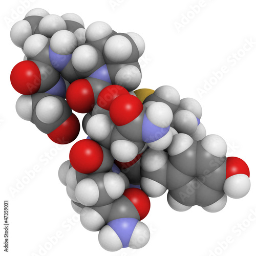 Oxytocin  cuddle hormone  molecule  chemical structure