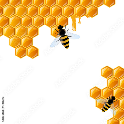 Vector Illustration of a Honey Background