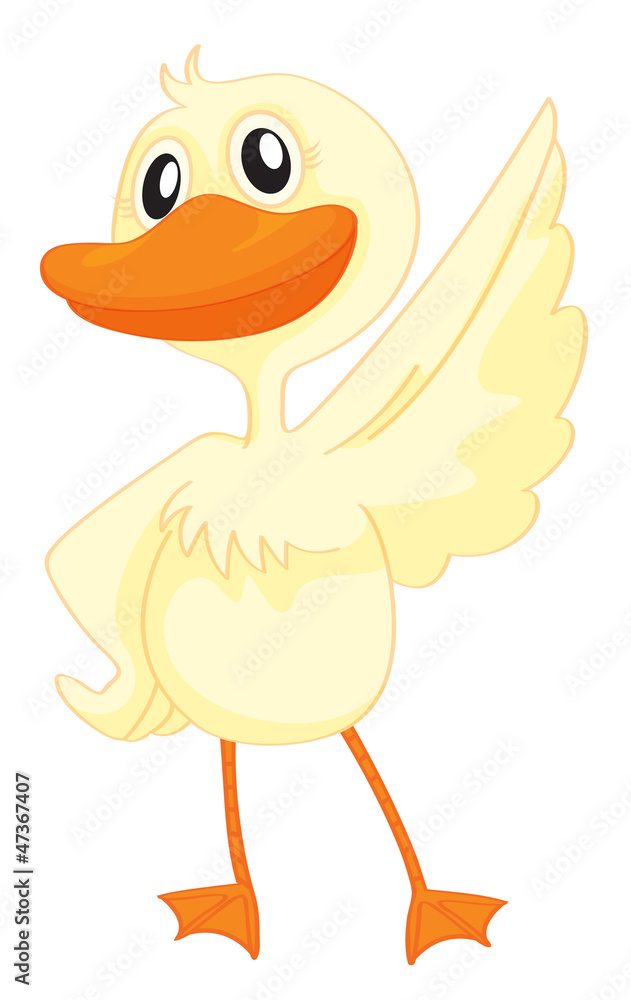 a duck a duck