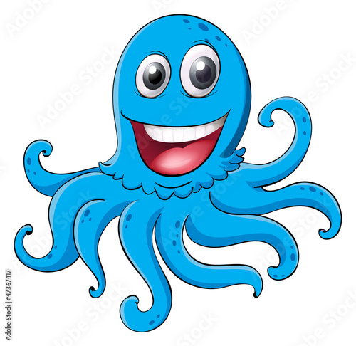 an octopus
