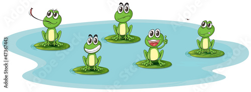 a frog and water