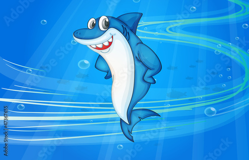 shark fish