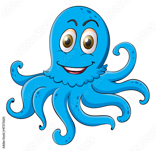 an octopus