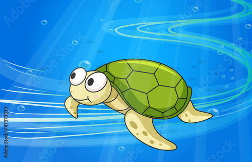 under water tortoise