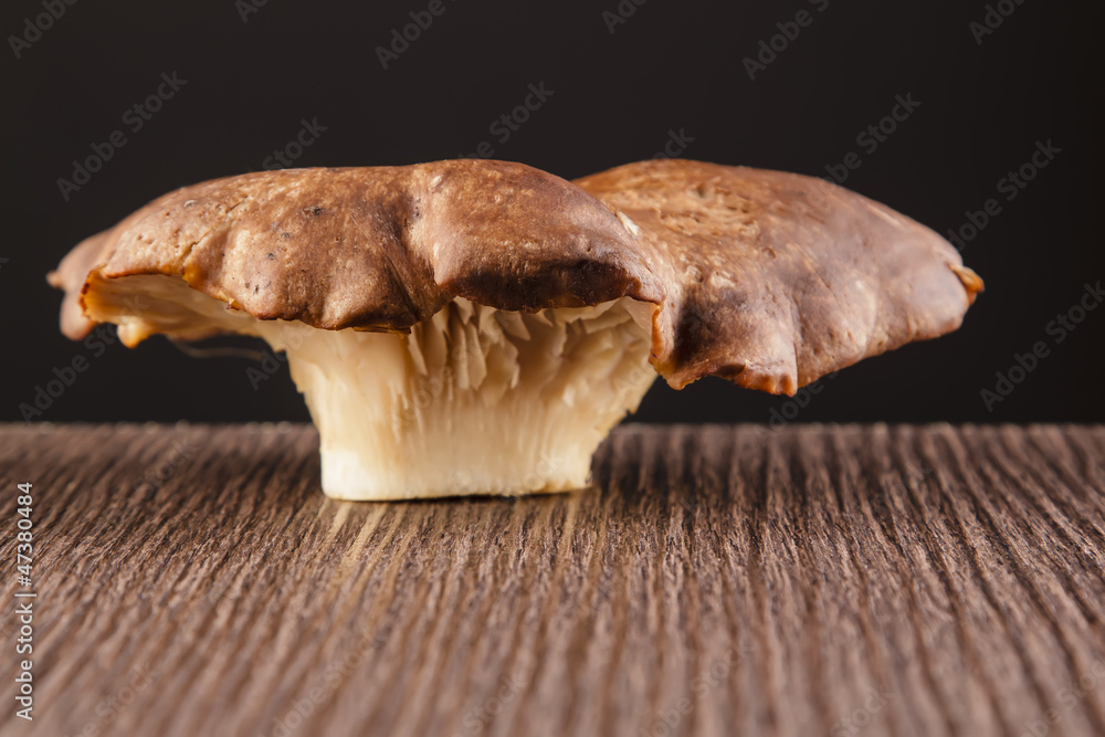 Fototapeta premium seta de cardo sobre una tabla de madera
