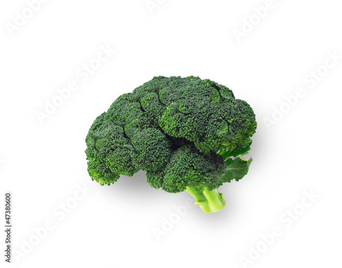 Broccoli shaped like brain isolated