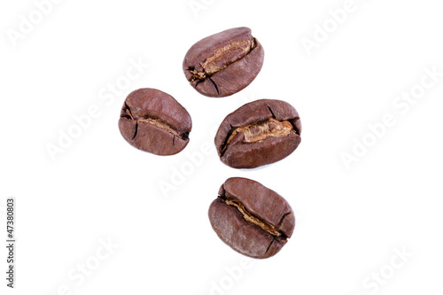 granos de café sobre fondo blanco