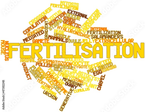 Word cloud for Fertilisation photo