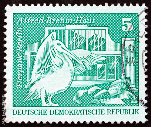 Postage stamp GDR 1973 Pelican, Berlin Zoo photo