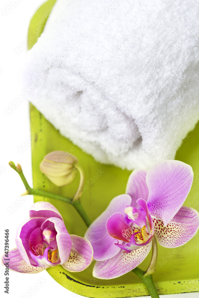 Orchid Spa Composition Orchid Spa Composition