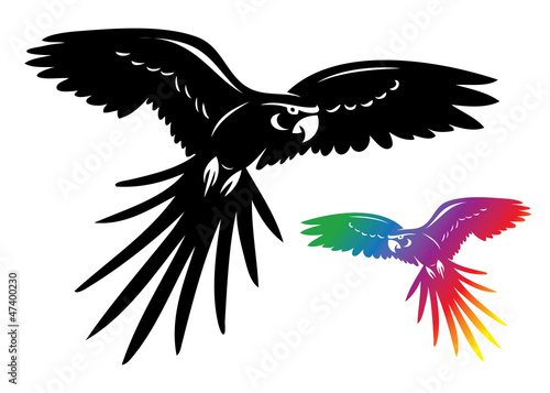 Ara parrot