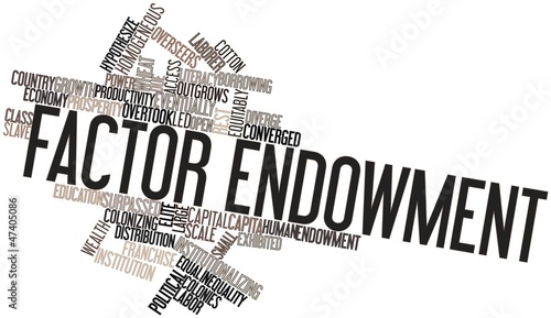 Принти на полотні Word cloud for Factor endowment