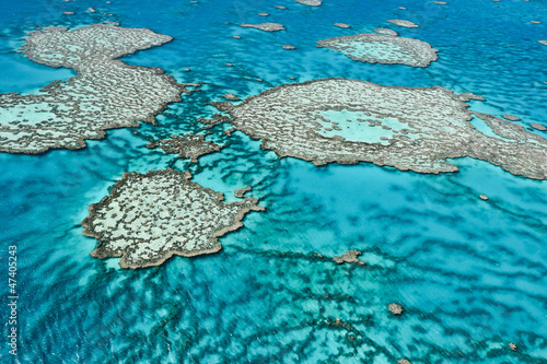 Great Barrier Reef in Queensland,Australia. photo