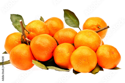 Oranges  in isolated on  white background