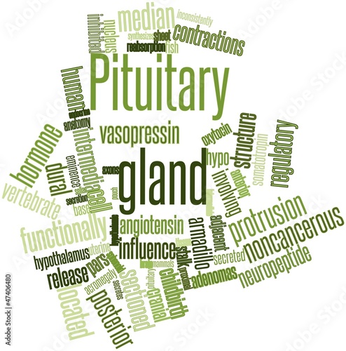 Word cloud for Pituitary gland